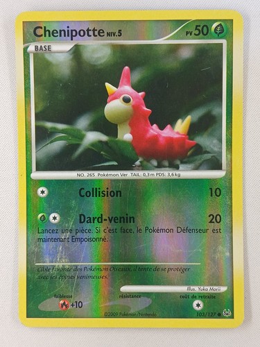 Carta pokémon reverse - fr,