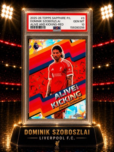 2025 zaffiro dominik - 2025-26,