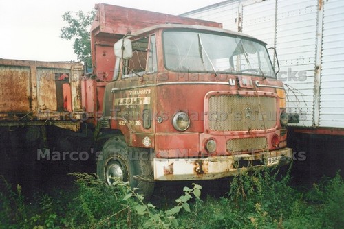Foto camion unic ribaltabile - foto,
