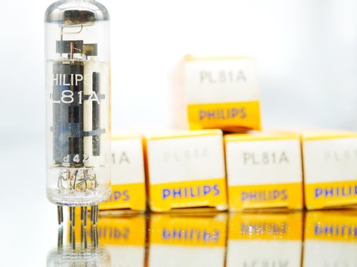 Pl81 philips tubo - 5x,