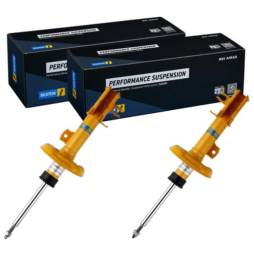 Ammortizzatori bilstein b6 - 2,