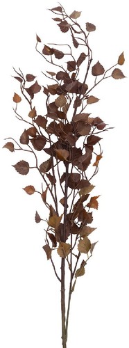 Clayre eef 5pl0349ch - eef,